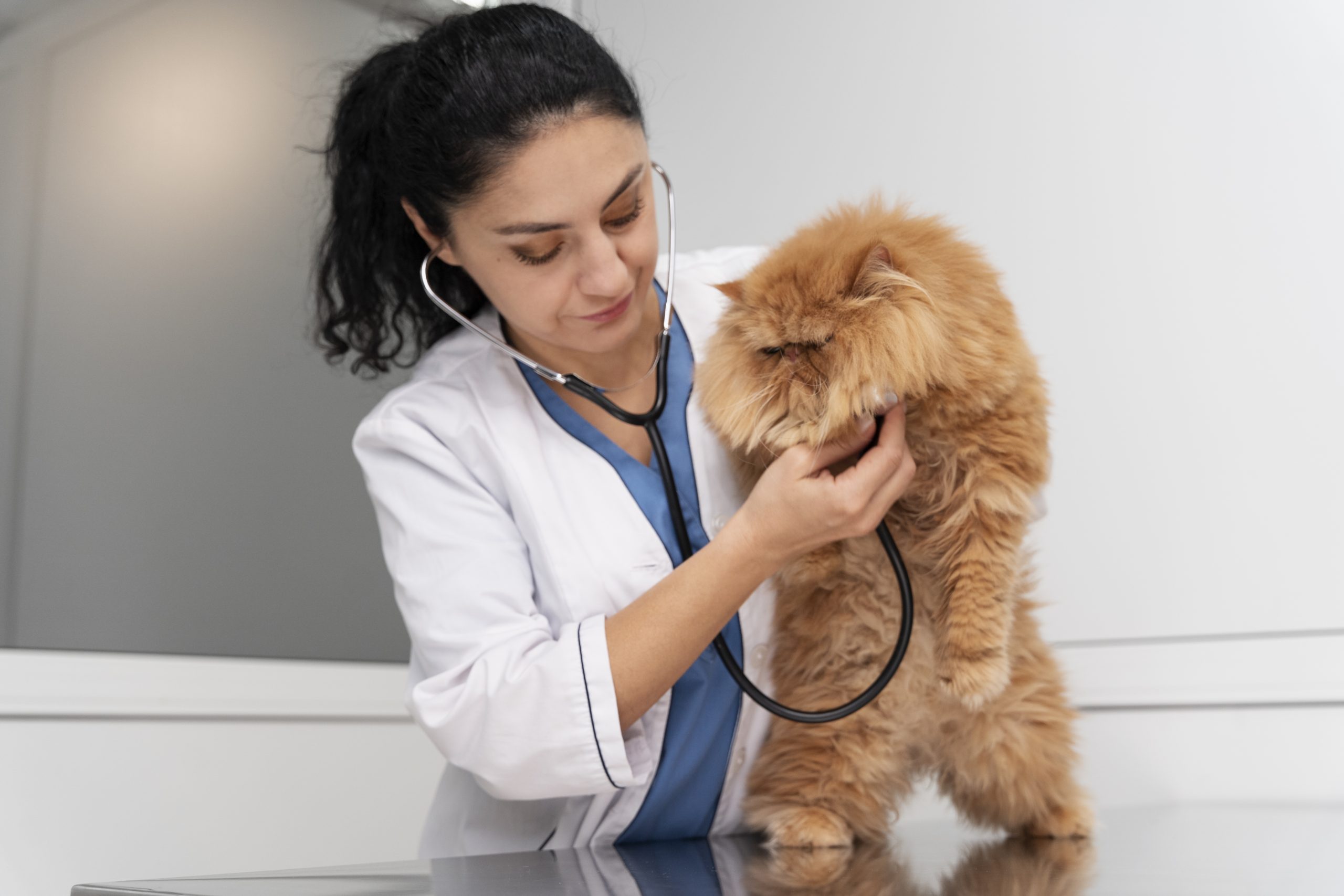 Curso de Ultrassonografia Gestacional veterinária em Campo Grande MS